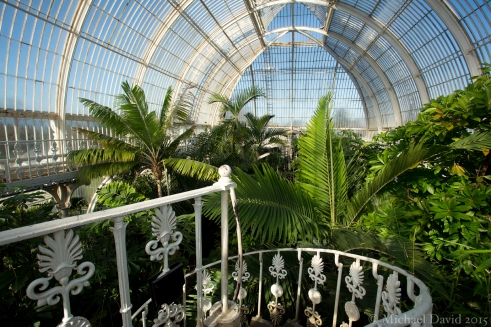 The Palm House, Kew gardens